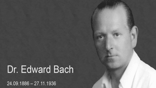 Quinto Principio de Edward Bach