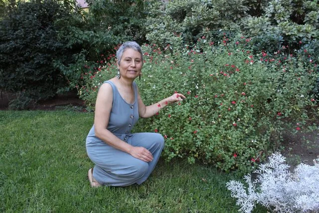 informacion sobre mi proceso